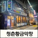 황금1길 | 【울산맛집】울산 중구 병영 막창거리 샐러드바가 있는 맛있는 막창집 청춘황금막창