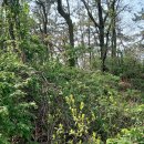 용성태양광발전소 이미지