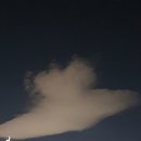 선광1호 이미지