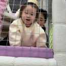 군포시청어린이집 | 군포 키즈카페 가성비 좋은 1시간 1500원 포포누리 실내놀이터 후기