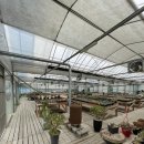 인수다육 이미지