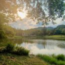 등소평 | 중국 선전(심천) 여행 추천ㅣ연화산공원에서 현지인과 연날리기, 동문시장 후기