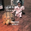 사파리체험테마파크 | 파주 아이랑 파주 동물원 경기도 아이랑 가볼만한곳 헤이리 사파리체험테마파크 후기
