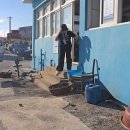 성산경로식당 | 우도 배 시간표 &amp; 전기차 정리, 엄마와 다녀온 우도 여행 코스