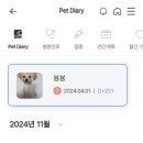 콩닥 동물병원 이미지