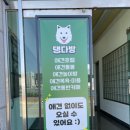 댕다방 이미지