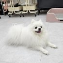 삼환미용실 이미지