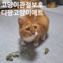 고양이 관절지킴이 네이버펫 <b>디팡</b> 고양이 미끄럼방지매트