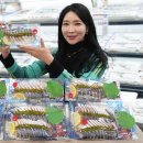 원대로마트 이미지