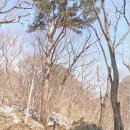 태백산휴양민박 | 경북 3대 물돌이 중 하나인 영주 무섬마을과 3사 순례