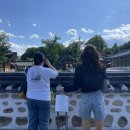 미미행정사 이미지