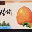 영아네 이미지
