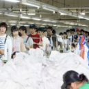 삼조산업 이미지