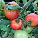 해든농장 이미지