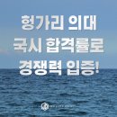 헝가리 의대생, 국내 의사시험 합격률로 입증된 경쟁력! 이미지