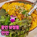 안안 이미지