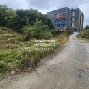 안림사거리 이미지