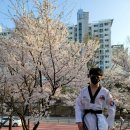 THE 힘찬태권도장 이미지