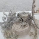 마젤란세탁 이미지