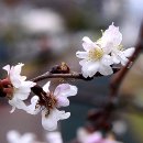 진해구 ⓒ-42 이미지