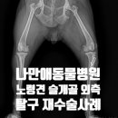 나만 애 동물병원 이미지