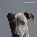 일월로22번길 네이버블로그