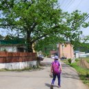 시우리 마을회관 이미지