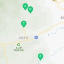 법인왕피천힐링팜