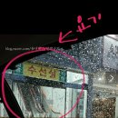 자쿠이 | 그 유명한 자쿠이 방문기