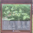 동구릉 도보투어