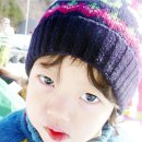 호 피 아