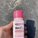 청평화훼종묘사 이미지