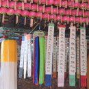 봉은사목삼불상(석가불,아미타불,약사불) | 서울 봉은사 [1]