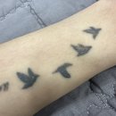 내포메디컬의원 이미지