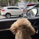 옥동종합동물병원 이미지