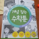 도서출판 성림 | 개념잡는 수학툰 14: 무리수에서 타임머신의 원리까지 / 정완상 / 성림주니어북