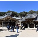통도사 이미지