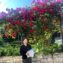 용인대윤태권도 이미지