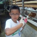 삼태농장 이미지