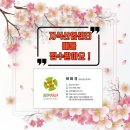 홈런부동산중개사무소 이미지