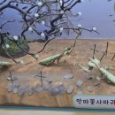 고양 스타필드 x 여주 곤충 박물관_스타필드에서 만나는 특별한 곤충 체험