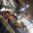 PITBULL GYM 이미지