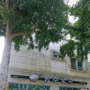 방주국수 이미지