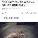 “초등생과 연인사이“…40대 길고양이 구조 유투버의 주장 이미지