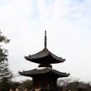 2016-1-8 오사카(예복사,쇼토쿠태자묘) 이미지