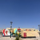 서안 | [이집트] 룩소르_셀프로 다녀온 룩소르 서안투어 후기 (+비용, 일정, 꿀팁)