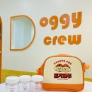 도기크루 이미지