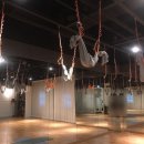 에잇핏 | [서현역 에잇핏요가] 빈야사·플라잉·힐링까지! 다양한 수업이 있는 에잇핏요가 후기!