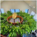 쥬디스펜션 이미지