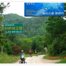 고치골손두부 이미지